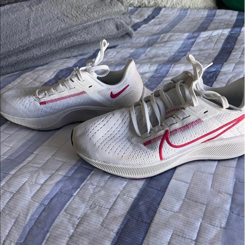 Nike Pegasus